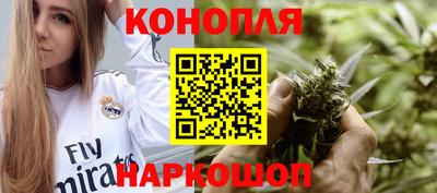 крисы Заводоуковск