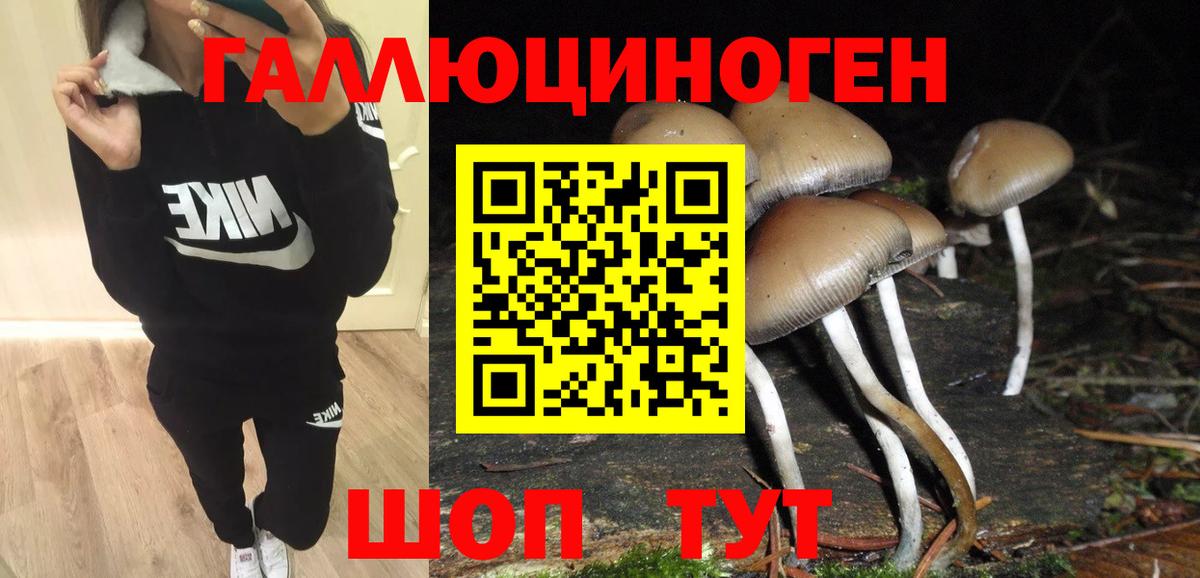 что такое наркотик  Псилоцибиновые грибы прущие грибы  Магнитогорск  Вход с VPN  Галлюциногенные грибы MAGIC MUSHROOMS 