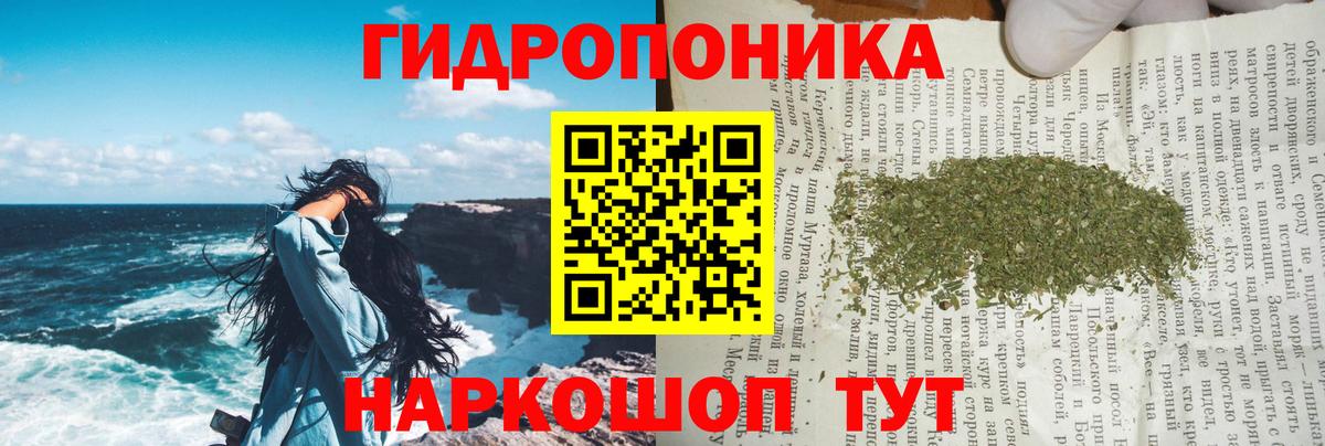 Канабис OG Kush  Вход с VPN  Каннабис ГИДРОПОН  Каннабис ГИДРОПОН  Магнитогорск 